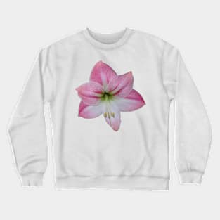 Pink Amaryllis Crewneck Sweatshirt